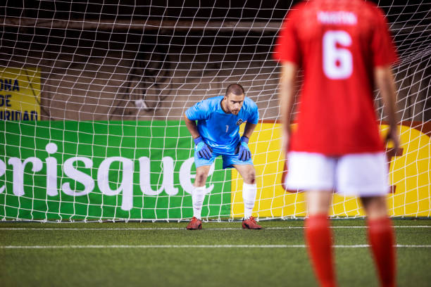 正充分诠释 正充分诠释